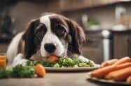 Understanding And Preventing Vitamin A Deficiency In Dogs Raw Diet Solutions